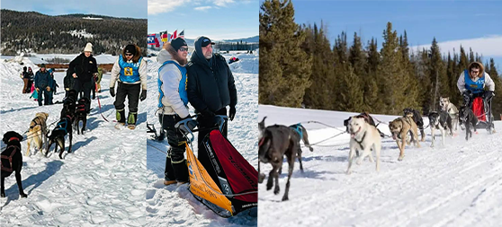 Sled Dog Racing.png (276 KB)